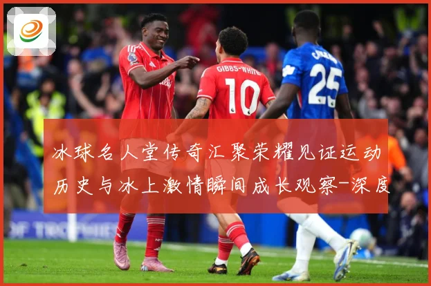 冰球名人堂传奇汇聚荣耀见证运动历史与冰上激情瞬间成长观察-深度解析